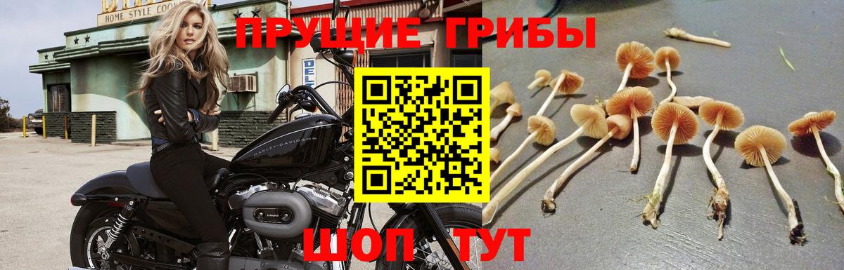 Меф Кунгур