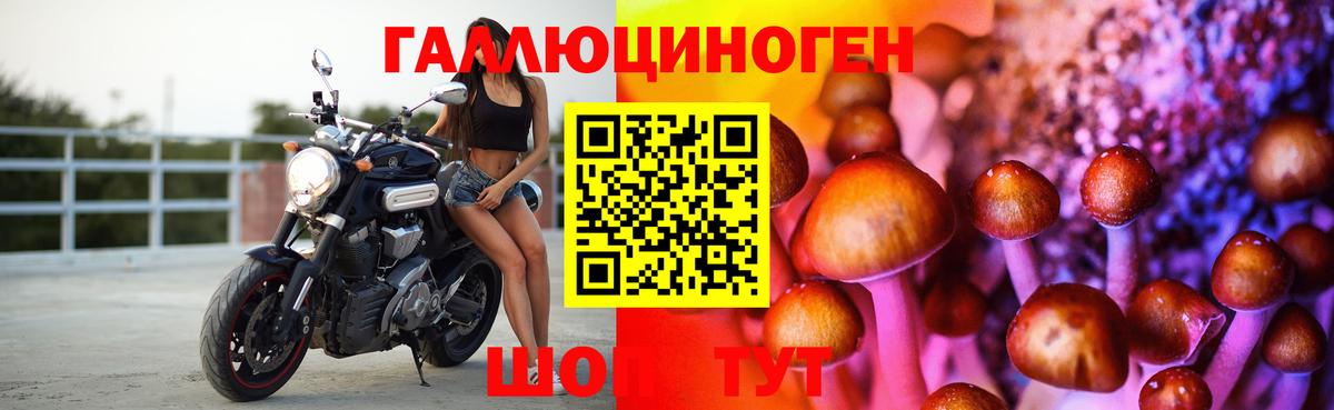 Псилоцибиновые грибы мухоморы  Вход с VPN  Кунгур 